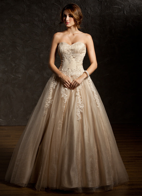 Robe De Princesse Tulle Beige