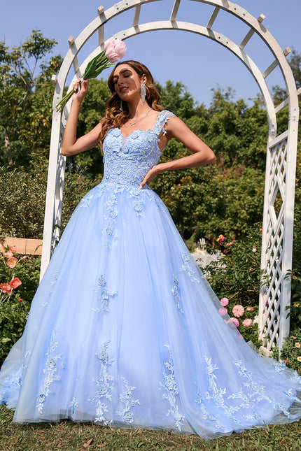 Robe De Princesse Dessin Animé