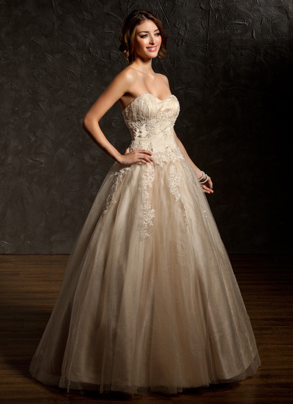 Robe De Princesse Tulle Beige - gallery 1