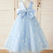 Robe De Princesse Cendrillon